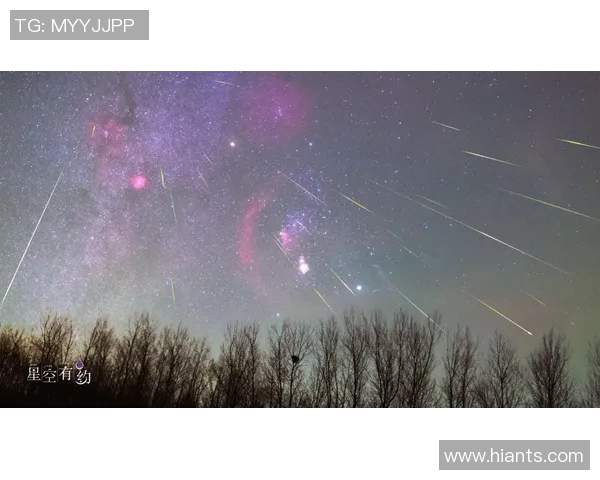 高阳猎户座与原州东浦新世代的巅峰对决与未来展望